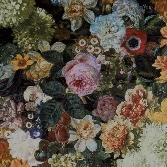 Terciopelo Fullerton