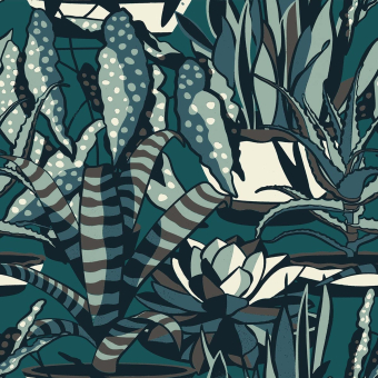 Tela Agaves