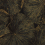 Papel pintado Taisho Deco Zoffany Vine Black ZTOT312750