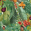 Papel pintado Neo-vegetable Coordonn&eacute; Summer 8800006