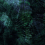 Papeles pintados panor&aacute;mico Exotique Stella Cadente Vert foncé SC003CAA