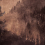Papeles pintados panor&aacute;mico For&ecirc;t de Sapin Stella Cadente Sepia SC015BAA