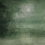 Papeles pintados panor&aacute;mico Sous Bois Stella Cadente Vert SC016AAA