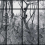 Papeles pintados panor&aacute;mico Casa de Vidro Coordonn&eacute; Off Frame 9000055