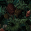 Papeles pintados panor&aacute;mico Tropical Pineapple Pascale Risbourg Mulberry PINBRY90