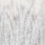 Papeles pintados panor&aacute;mico Bushy Inkiostro Bianco Grey/Bronze INKKHOR1901_VINYL