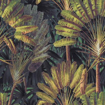 Papeles pintados panorámico Traveller's Palm