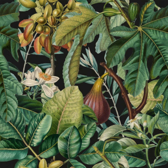Papeles pintados panorámico Figs and Dates