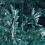 Papeles pintados panor&aacute;mico New World Code Forest green B1603 intissé