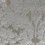 Tela Barberini Nobilis Grege 10348.03