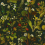 Papel pintado Herbarium House of Hackney Forest/Green 1-WA-HER-DI-MID-XXX-004