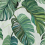 Papel pintado Carioca Coordonn&eacute; Green 9200001