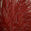 Panel tela Kyojin K3 Rosso 1Y8Q021-561