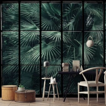 Papeles pintados panorámico Tropical Window