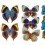 Papeles pintados panor&aacute;mico Butterflies Mix 3 Curious Collections Bleu Roi CC-butterflies-mix-3