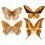Papeles pintados panor&aacute;mico Butterflies Mix 5 Curious Collections Orange CC-butterflies-mix-5