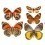 Papeles pintados panor&aacute;mico Butterflies Mix 9 Curious Collections Orange/Jaune CC-butterflies-mix-9