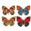Papeles pintados panor&aacute;mico Butterflies Mix 10 Curious Collections Orange/Bleu CC-butterflies-mix-10