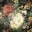 Papeles pintados panor&aacute;mico Impressionist Floral York Wallcoverings Red/Black MU0246M