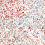 Papeles pintados panor&aacute;mico Stardust Bien Fait MCM B00113