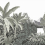 Papeles pintados panor&aacute;mico Itaya Les Dominotiers Green DOM504