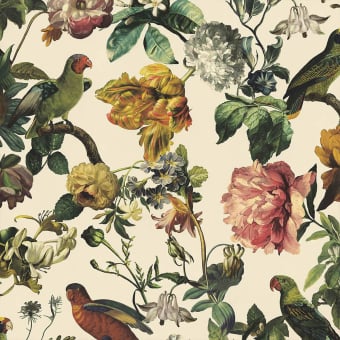 Papel pintado Birds in Springtime - Museum