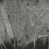 Papeles pintados panor&aacute;mico Copacabana Metallics Coordonn&eacute; Silver 9600901