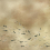 Papeles pintados panor&aacute;mico Koi Metallics Coordonn&eacute; Gold 9600060