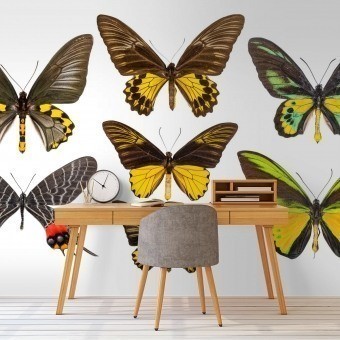 Papeles pintados panorámico Butterflies Mix 6