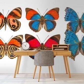 Papeles pintados panorámico Butterflies Mix 10