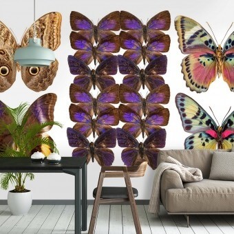Papeles pintados panorámico Butterflies Mix 12