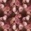 Tela Vespertina Designers Guild Sepia FDG2928/02