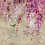 Papeles pintados panor&aacute;mico Shinsha Blossom Scene 1 Designers Guild Rose PDG1116/01