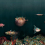 Papeles pintados panor&aacute;mico Deep Ocean Coordonn&eacute; Atlantic 9500500