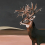 Papeles pintados panor&aacute;mico Great Deer Coordonn&eacute; Nude 9500200