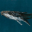 Papeles pintados panor&aacute;mico Humpback Whale Coordonn&eacute; Ocean 9500100