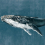 Papeles pintados panor&aacute;mico Humpback Whale Coordonn&eacute; Vintage 9500101
