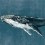 Papeles pintados panor&aacute;mico Humpback Whale Coordonn&eacute; Vintage 9500101