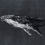 Papeles pintados panor&aacute;mico Humpback Whale Coordonn&eacute; Nuit 9500102