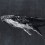 Papeles pintados panor&aacute;mico Humpback Whale Coordonn&eacute; Nuit 9500102
