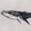 Papeles pintados panor&aacute;mico Humpback Whale Coordonn&eacute; Gris 9500103