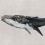Papeles pintados panor&aacute;mico Humpback Whale Coordonn&eacute; Gris 9500103