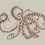 Papeles pintados panor&aacute;mico Octopus X-Ray Coordonn&eacute; Papirus 9500801