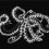 Papeles pintados panor&aacute;mico Octopus X-Ray Coordonn&eacute; Noir 9500802