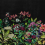 Papeles pintados panor&aacute;mico Wild Floral Coordonn&eacute; Nuit 9500400