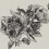 Papeles pintados panor&aacute;mico Giant Peonies Coordonn&eacute; Ink 9500700