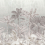 Papeles pintados panor&aacute;mico Jardim Botanico Code Light Grey C2201 intissé