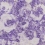 Revestimiento mural Palasini Designers Guild Plum PDG647/09