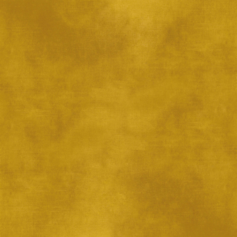 Terciopelo Manade