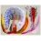 Alfombras Butterfly II MOOOI 150x200 cm S210155